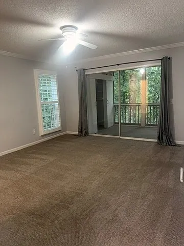 3401 Trade Winds Dr #1C — Photo 11