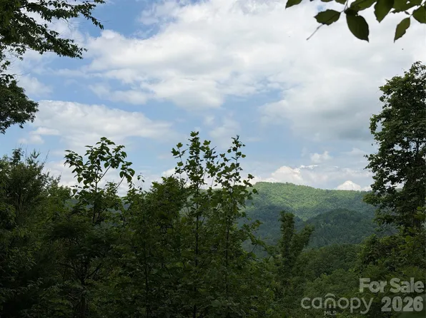 408 Arvil Gosnell Rd, Mars Hill, NC 28754