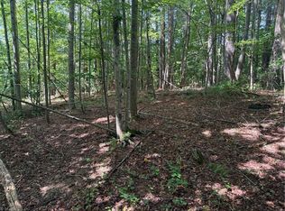 LOT 22 Austin Traphill Rd, Traphill, NC 28685