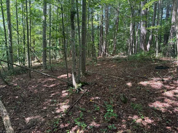 LOT 22 Austin Traphill Rd, Traphill, NC 28685