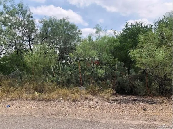 0 N Ebony Ave, Roma, TX 78584