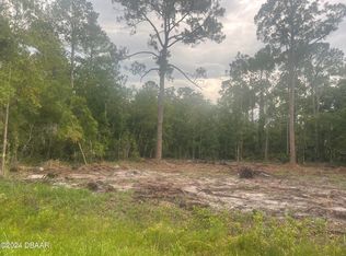 217 Paradise Blvd, Georgetown, FL 32139