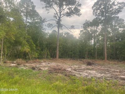 217 Paradise Blvd, Georgetown, FL, 32139