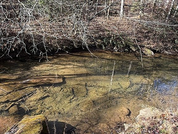 4th image of 385 Old Whitener Road