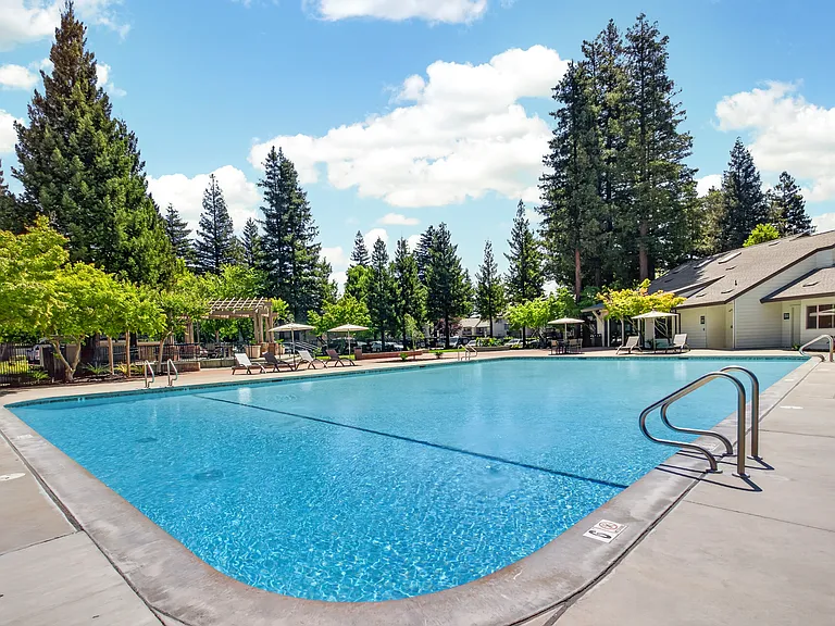 Laurel Oaks — Photo 8