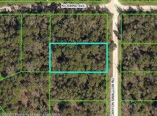 14313 Canyon Swallow Rd, Weeki Wachee, FL 34614