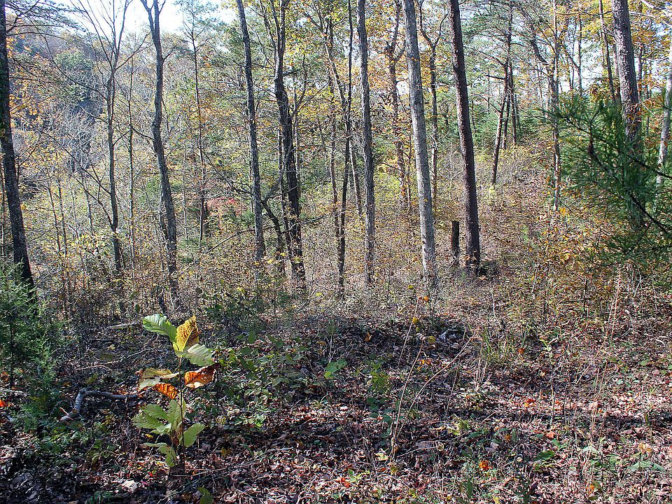 2nd image of 125 Sandstone Point