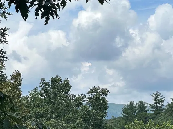 20 Ewells Ridge Rd, Basye, VA 22810