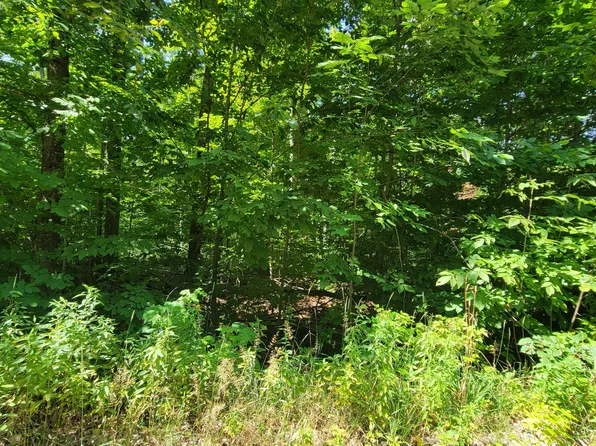 223 Beechnut Ln, Wolverine, MI 49799