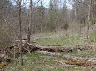 Foxfire Ridge Rd, Leicester, NC 28748