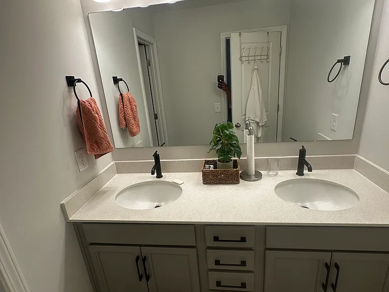 Green Fern Dr — Photo 11