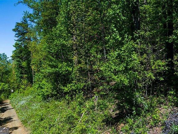 4th image of 0 Fire Tower Rd Lot 7
