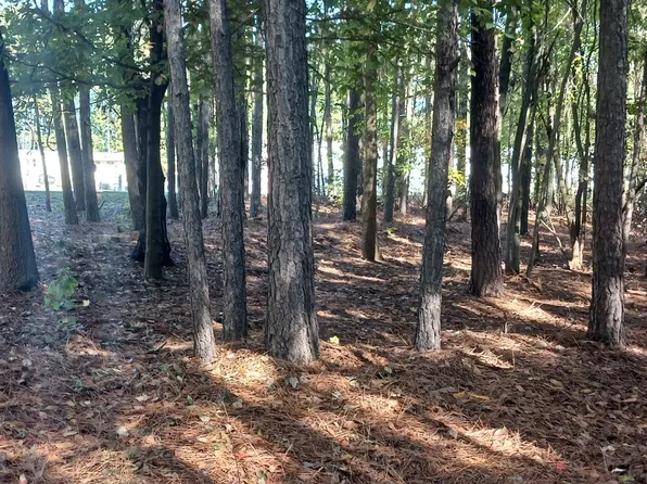 0 Thirteen Forks Rd NW, Dewy Rose, GA 30634