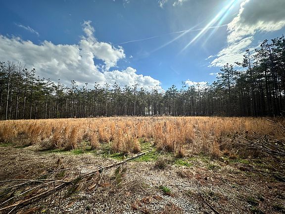 4th image of Coleman Rd