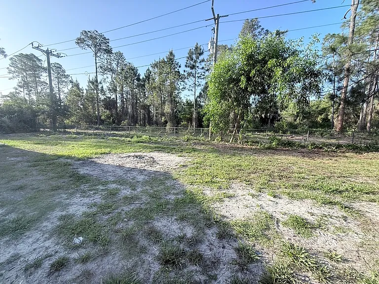 1520 Blue Sage Dr — Photo 17