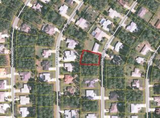 31 Brigadoon Ln, Palm Coast, FL 32137