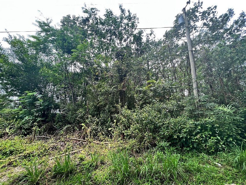 1st image of King Kamehameha Blvd Lot 35