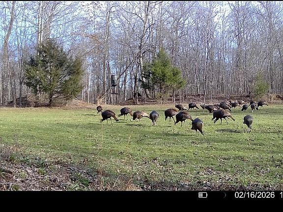 5th image of 0 Bunches Chapel Rd