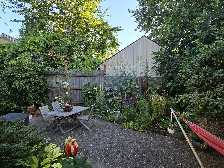 back yard - fire pit, dining, lounge