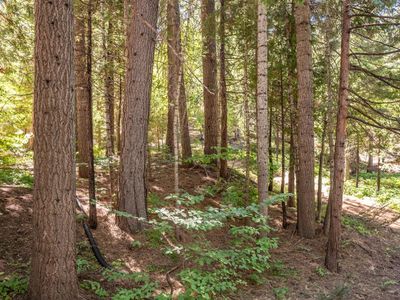 4329 Ottawa Dr, Camp Connell, CA, 95223