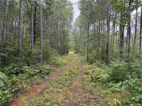 11243 East Kelly Road, Highland, WI 54849