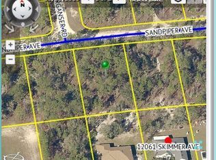 12050 Sandpiper Ave, Weeki Wachee, FL 34614