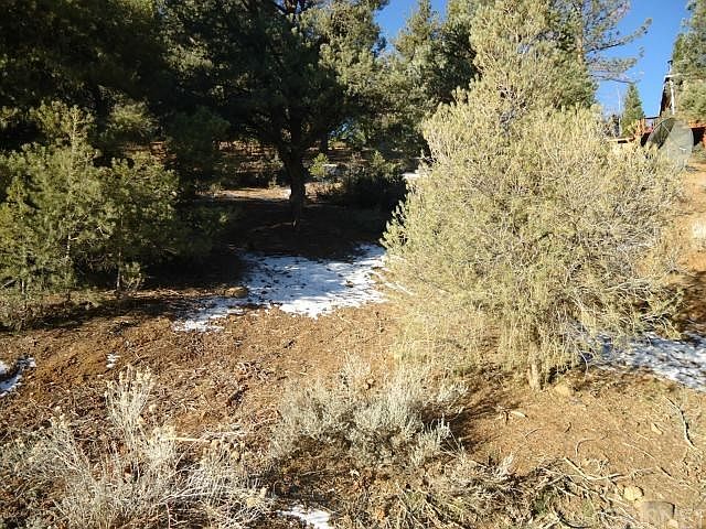 2nd image of Pineridge Dr