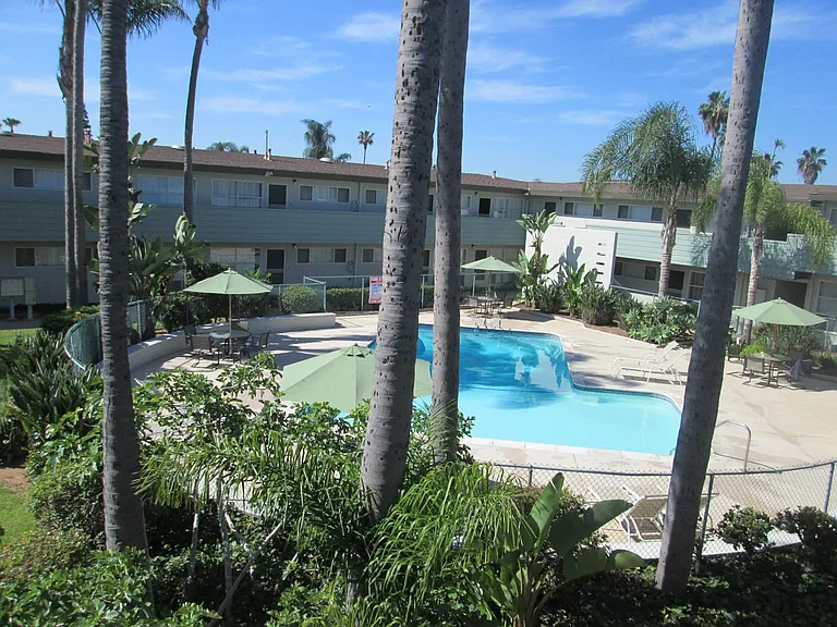 The Palms — Photo 9