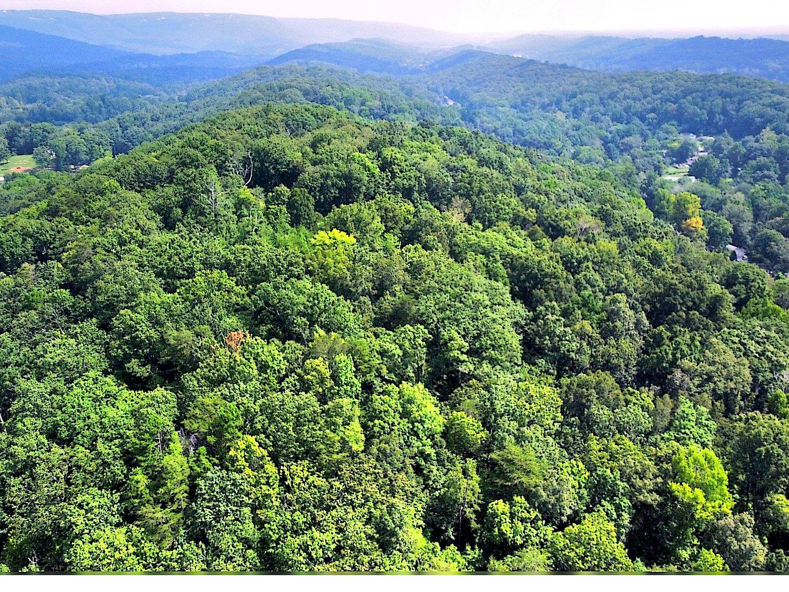 409 Browntown Rd, Chattanooga, TN 37415 Zillow