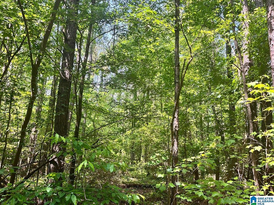 0 Brickyard Rd Sylacauga, AL, 35150 Apartments for Rent Zillow