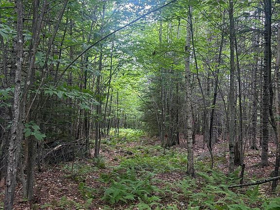 5th image of 13 Crafts Road