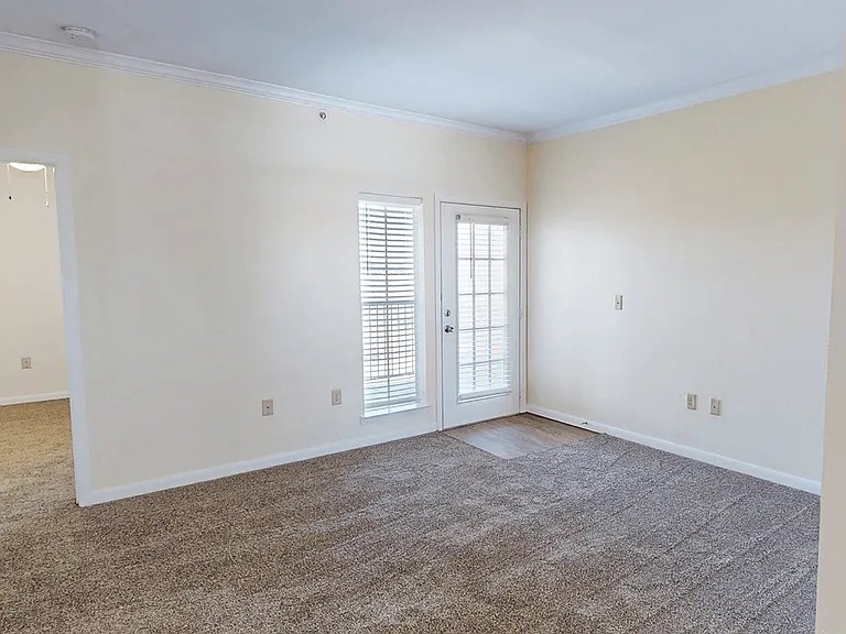 Plush Cozy Carpeting
