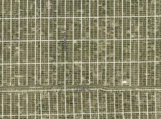 1402 Williams Ave, Lehigh Acres, FL 33972