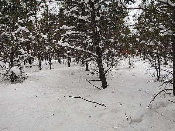 3rd image of Fiddlewood Dr