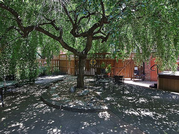 Your own shade tree