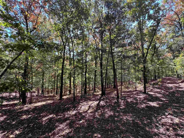 0 Cee Jay Ln, Sulphur Rock, AR 72579