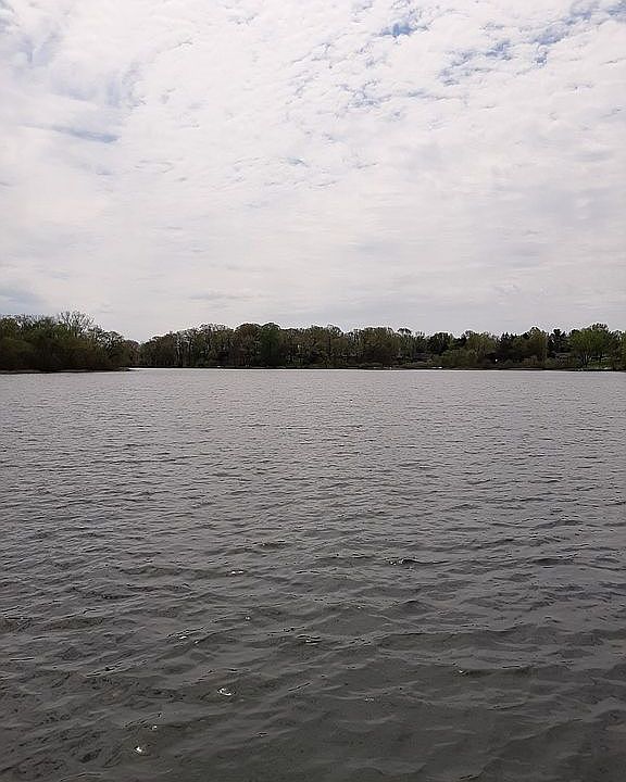Lakefront House on 2.5 acres