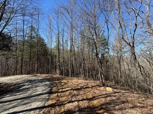 Trac I 2 Crockett Mountain Ln, Hayesville, NC 28904