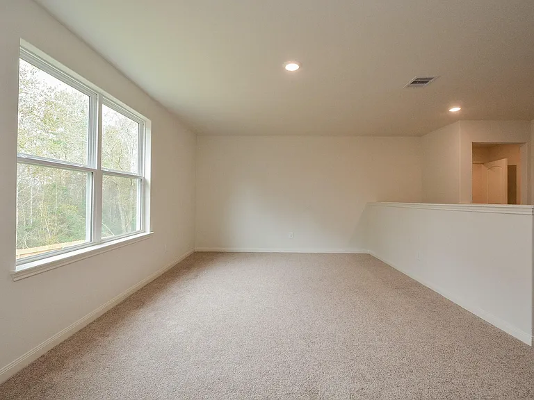 21339 Rachel Manor Dr — Photo 11