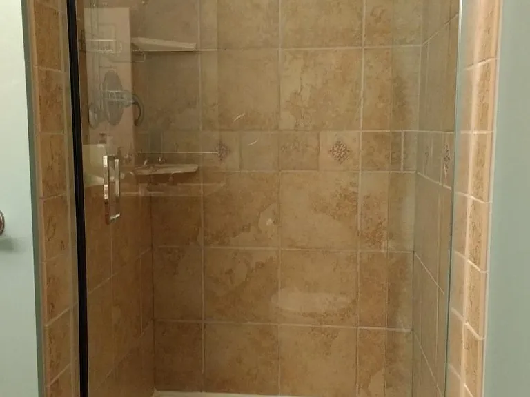 Master bathroom (second picture)