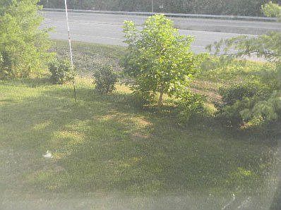 4th image of 120 Shawnee Ave