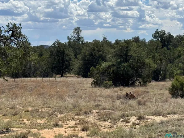 13 Davids Rock Rd, Pine Hill, NM 87357