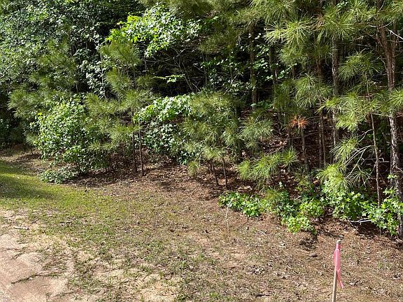 5th image of Lot 84 Appaloosa Lake Drive LOT 84