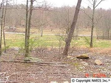 2nd image of 4200 Citadel Rock Rd