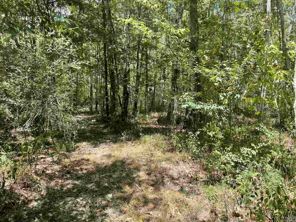 11458 E Blackwater Rd, Baker, LA 70714