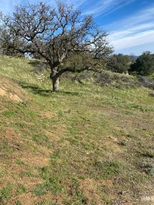 27833 Buckeye Canyon Rd, Keene, CA, 93531