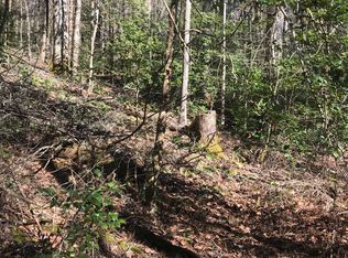 0 Foster Branch Rd, Epworth, GA 30541