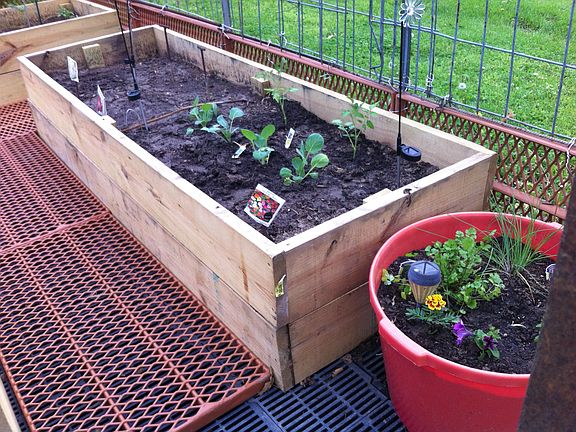 Enclosed garden 