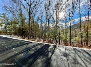 L1 Olde Coach Rd, Diamond Pt, NY 12824