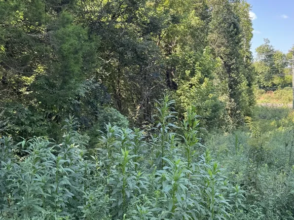 8322 Horton Hwy, College Grove, TN 37046